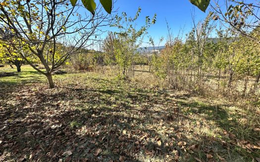 BİLECİK GÖLPAZARI SOFTALAR KÖYÜ’NDE MÜSTAKİL TAPULU SATILIK 328,46 M² TARLA