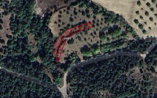 BİLECİK GÖLPAZARI SOFTALAR KÖYÜ’NDE MÜSTAKİL TAPULU SATILIK TARLA – 659 M²