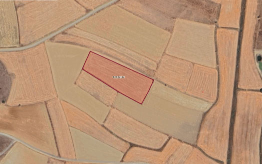 TEPEBAŞI EĞRİÖZ’DE 8.099m² MÜSTAKİL TARLA – YOLA CEPHELİ