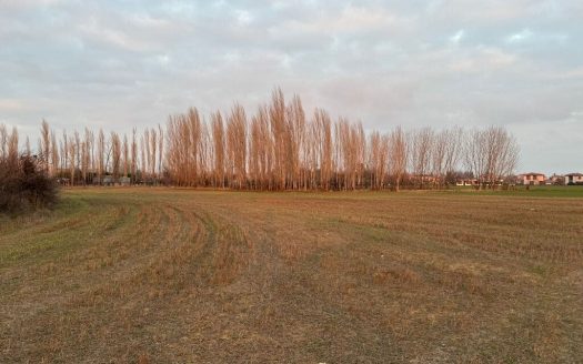 2.809 M² WOHNBAULAND ZU VERKAUFEN IN ÇUKURHİSAR YENİ