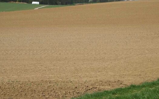 ESKİŞEHİR ODUNPAZARI MAMUCA MH.’DE YATIRIMLIK 15.753,41M² TARLA