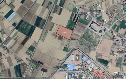 ESKİŞEHİR KOYUNLAR MH.’DE YOLU AÇILMIŞ 39.493 M² YATIRIMLIK TARLA