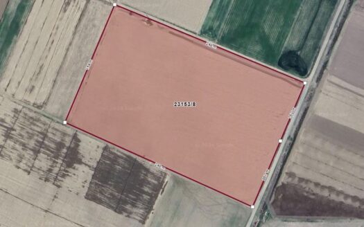 ESKİŞEHİR KOYUNLAR MH.’DE YOLU AÇILMIŞ 39.493 M² YATIRIMLIK TARLA