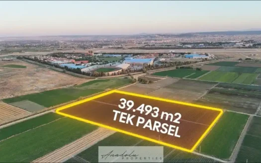 ESKİŞEHİR KOYUNLAR MH.’DE YOLU AÇILMIŞ 39.493 M² YATIRIMLIK TARLA