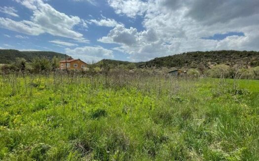 ESKİŞEHİR ODUNPAZARI KARGIN’DA 1586,89M² MÜSTAKİL TAPULU SATILIK TARLA