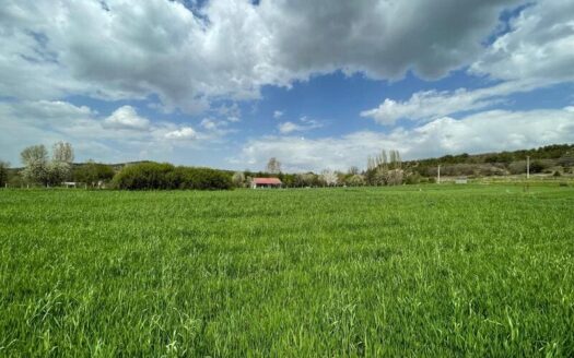 ESKİŞEHİR ODUNPAZARI KARGIN’DA 1586,89M² MÜSTAKİL TAPULU SATILIK TARLA