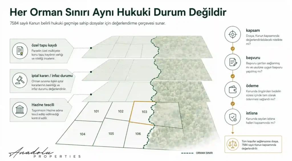 7584 SAYILI KANUN ORMAN ŞERHİ VE TAPU İADESİNDE NE GETİRİYOR? GAYRİMENKUL PİYASASI NASIL ETKİLENEBİLİR?