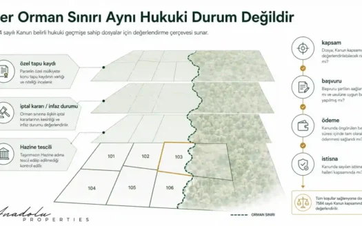 7584 SAYILI KANUN ORMAN ŞERHİ VE TAPU İADESİNDE NE GETİRİYOR? GAYRİMENKUL PİYASASI NASIL ETKİLENEBİLİR?