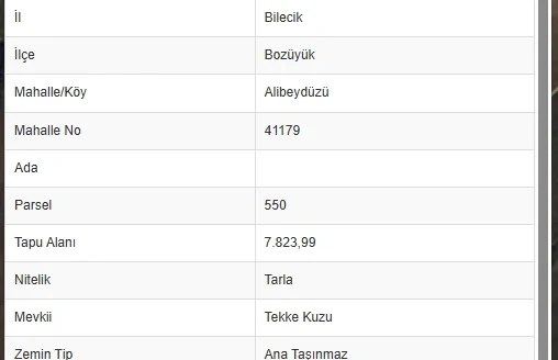 BİLECİK BOZÜYÜK ALİBEYDÜZÜ’NDE 7.823,99 M² YATIRIMLIK ARAZİ