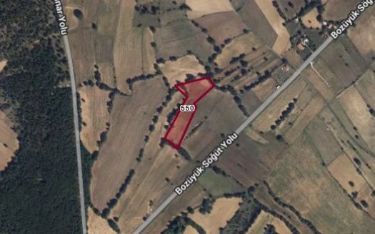 BİLECİK BOZÜYÜK ALİBEYDÜZÜ’NDE 7.823,99 M² YATIRIMLIK ARAZİ