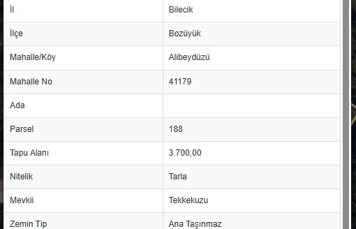 BİLECİK BOZÜYÜK ALİBEYDÜZÜ’NDE 3.700 M² GELİŞİM POTANSİYELİ YÜKSEK YATIRIMLIK TARLA