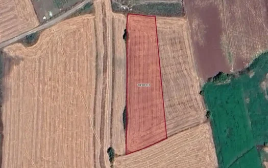 TEPEBAŞI MUSAÖZÜ’NDE ŞEHRE YAKIN 4.223 M² YATIRIMLIK TARLA