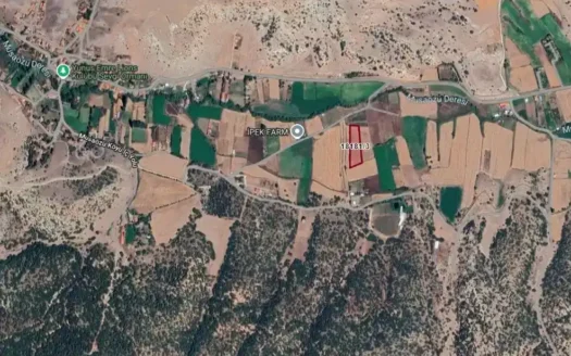 TEPEBAŞI MUSAÖZÜ’NDE ŞEHRE YAKIN 4.223 M² YATIRIMLIK TARLA